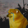 thi ut le
