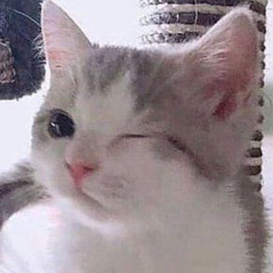 Cik Meoww