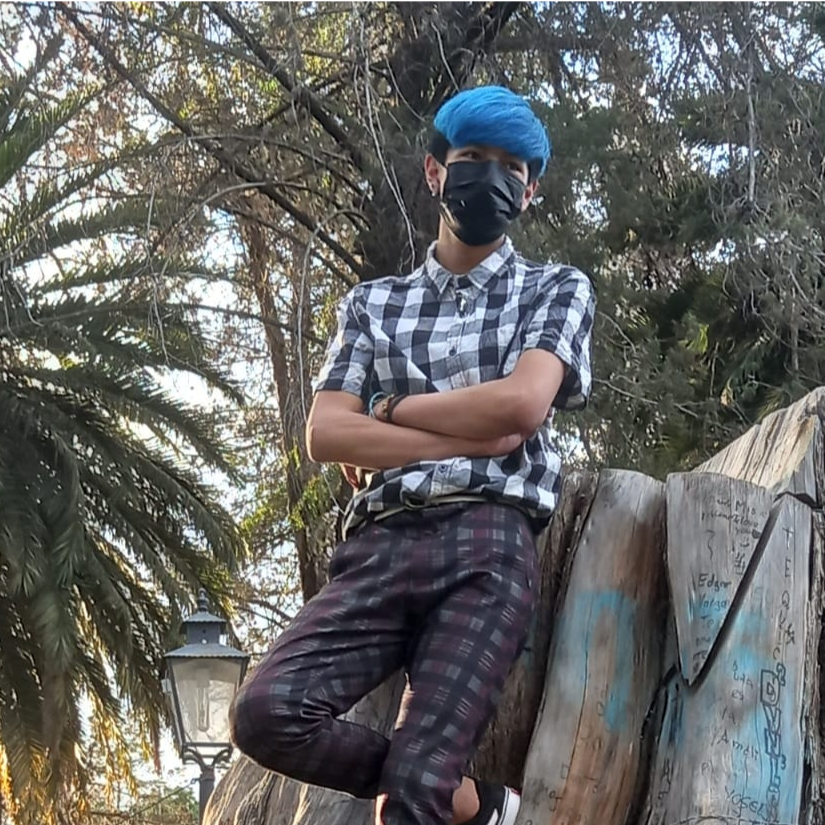 Jose fabricio Calla coronel