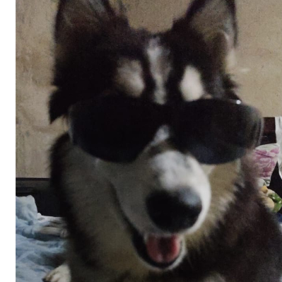 Liang Lee Wong Bueno