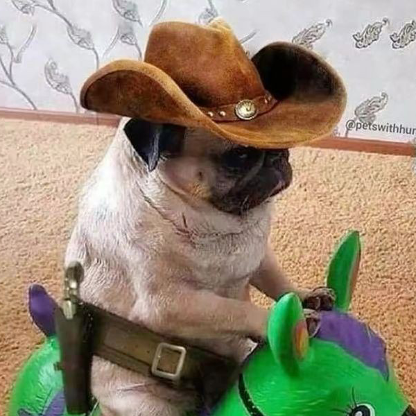 cowboy 🤠