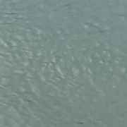 fresh water