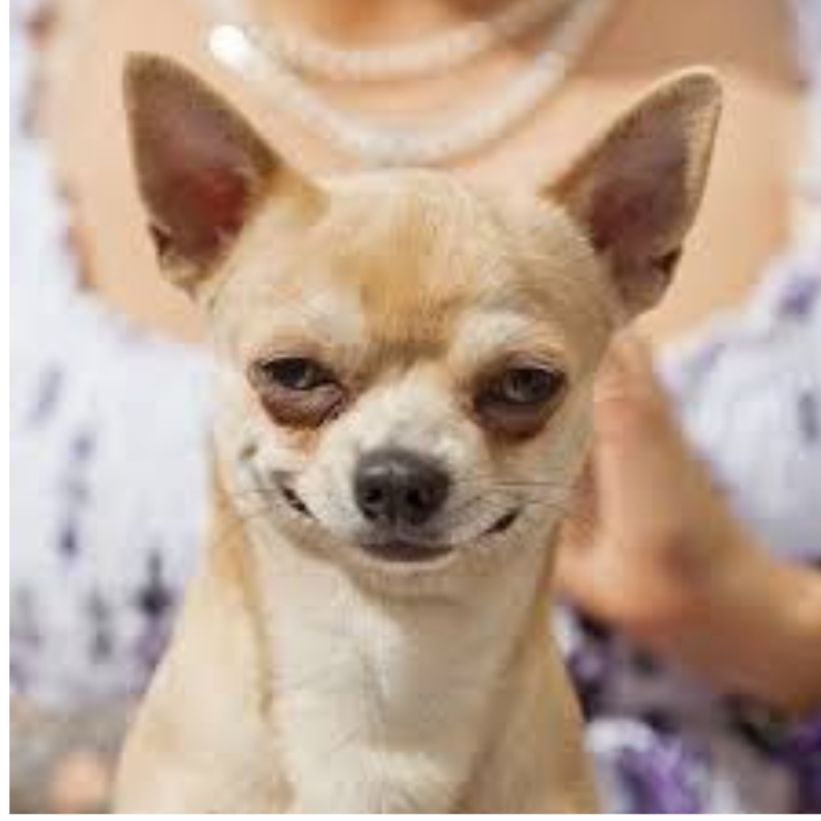 คุณาธิป ศรีแก้ว