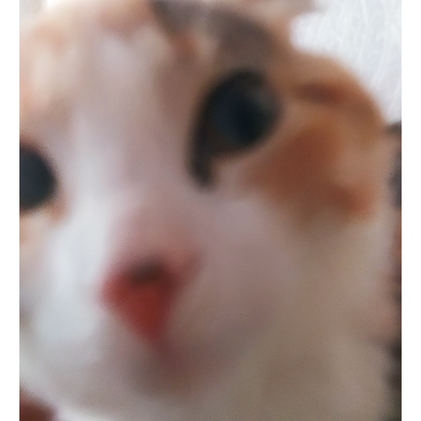 Nekoc