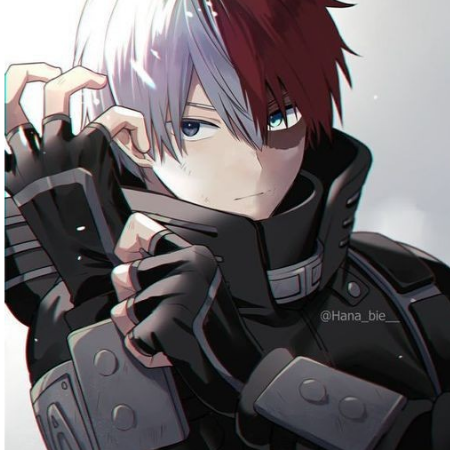 益✷Todoroki ✷益. UwU