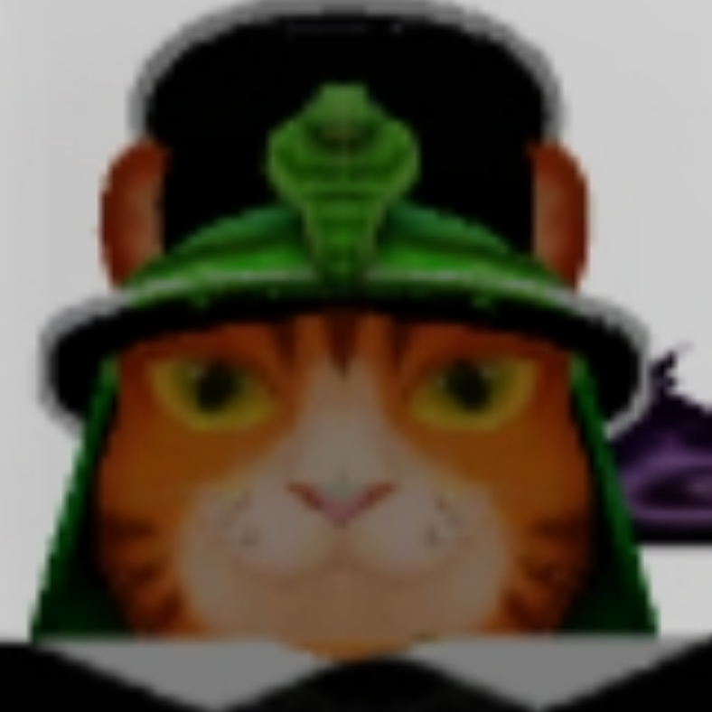 User428180408