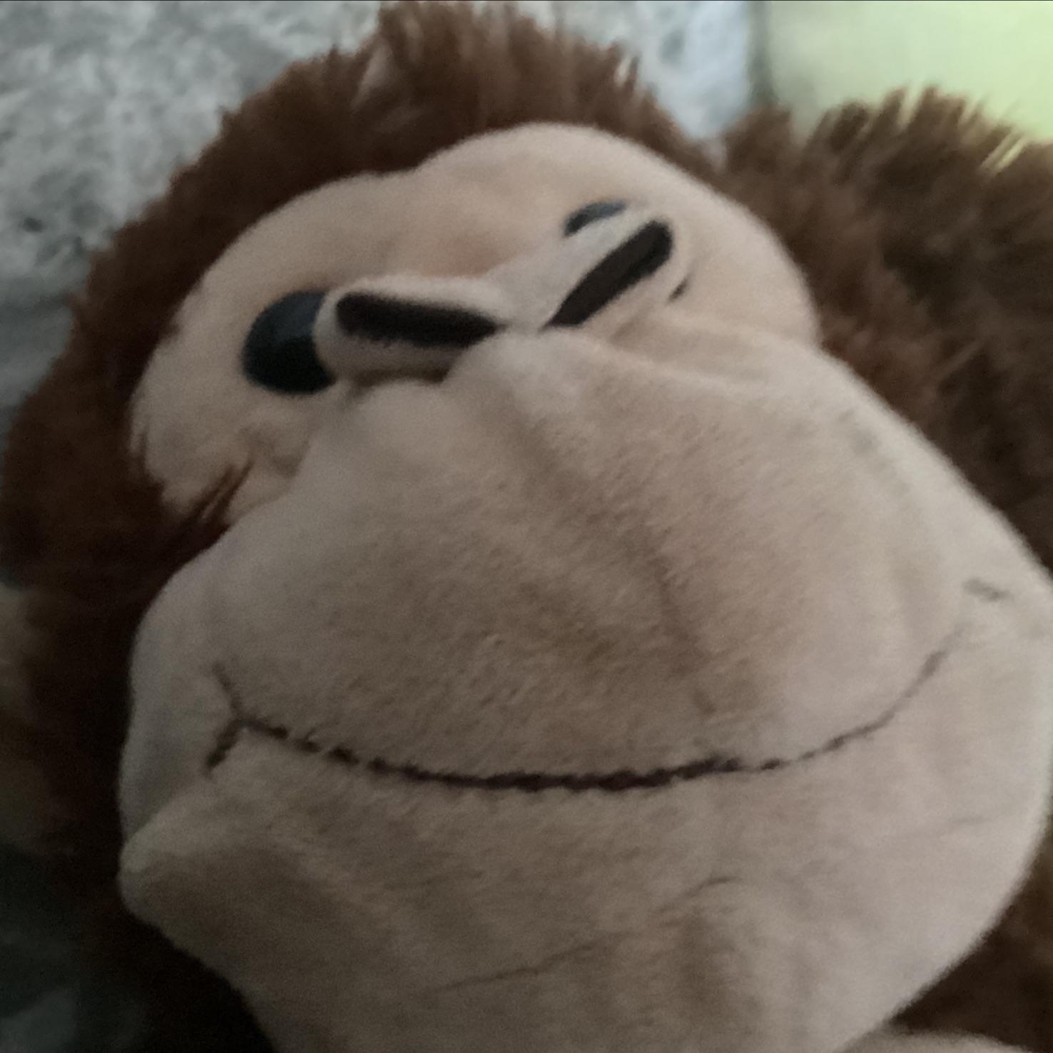 Mrmonkey