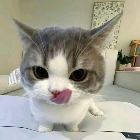 Raa~~☆