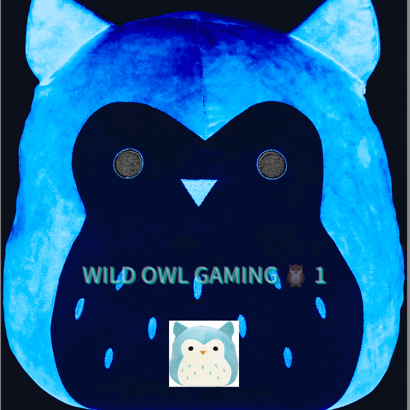 wild-owl