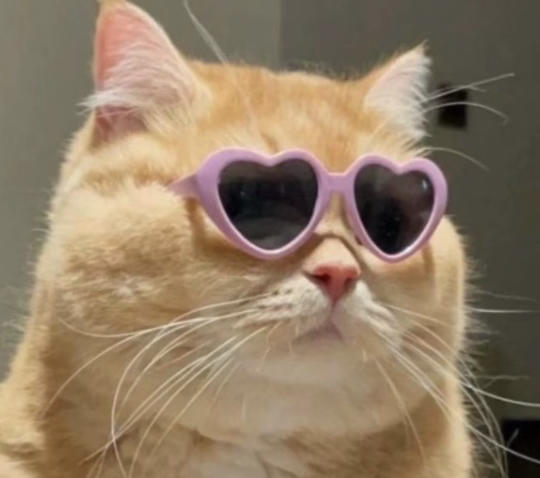 𝚂𝚄𝙽𝙳𝙰𝚈