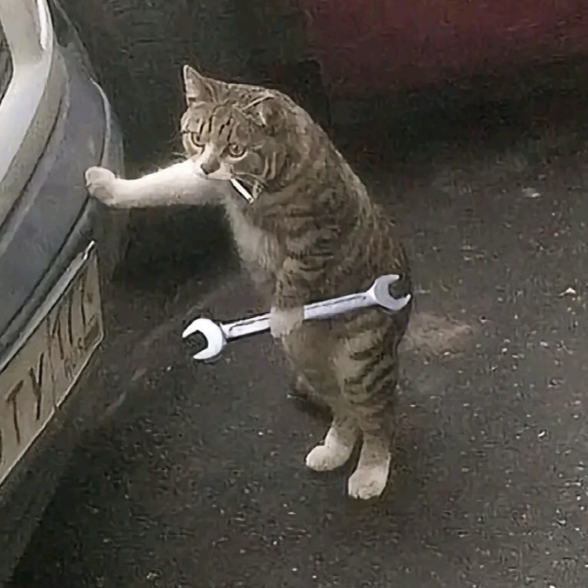 mechanik👍👍👍