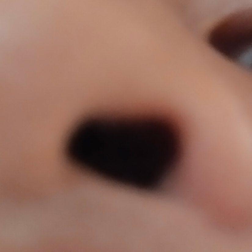 Nose
