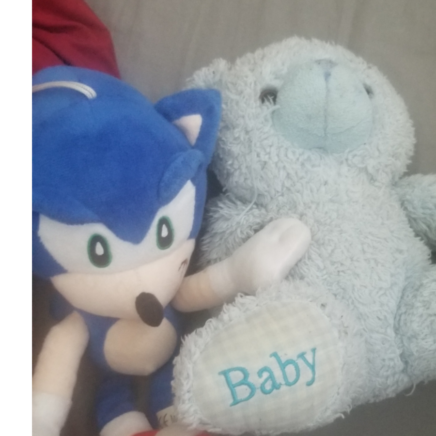 teddy and sonic squad