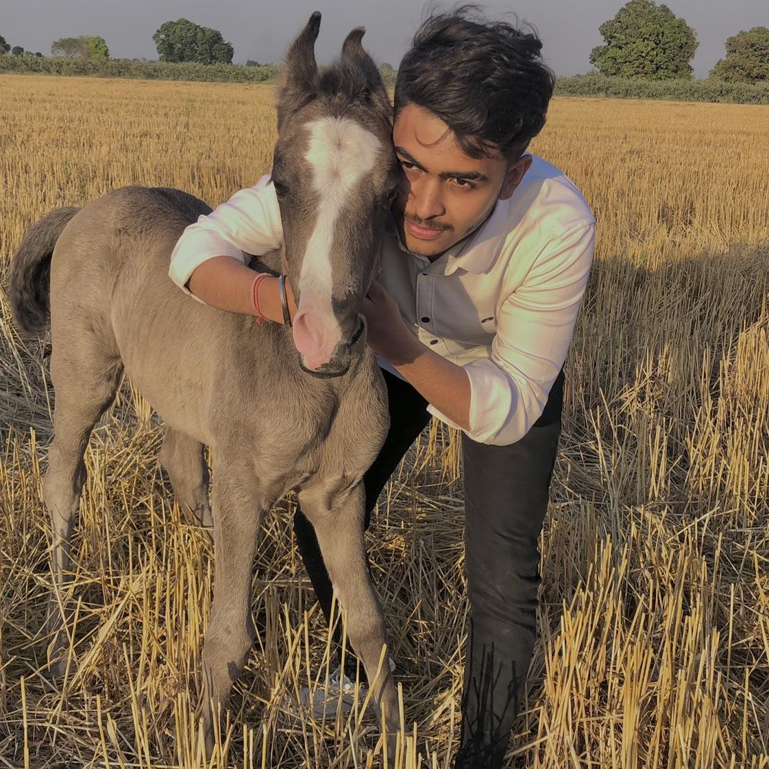 bhavy