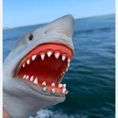 Shark puppet