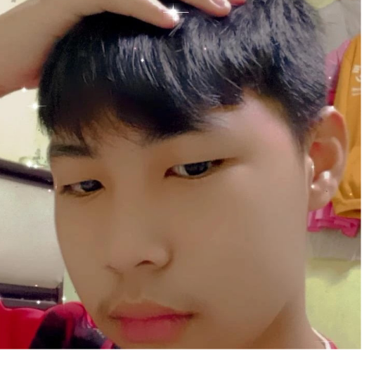 ผู้พิทักษ์ช่องคลอด