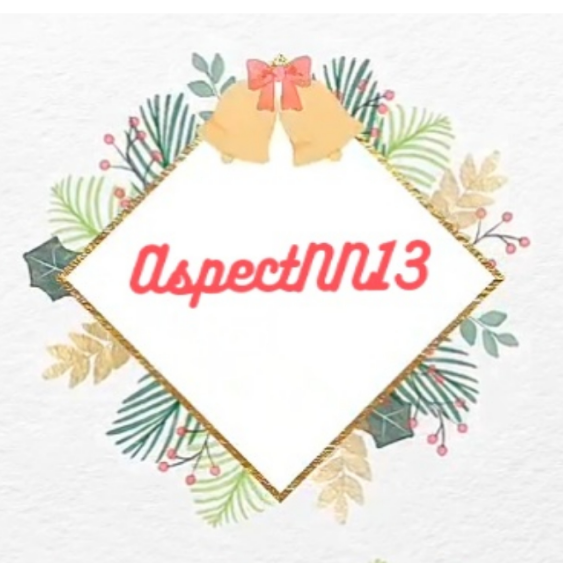 AspectNN13