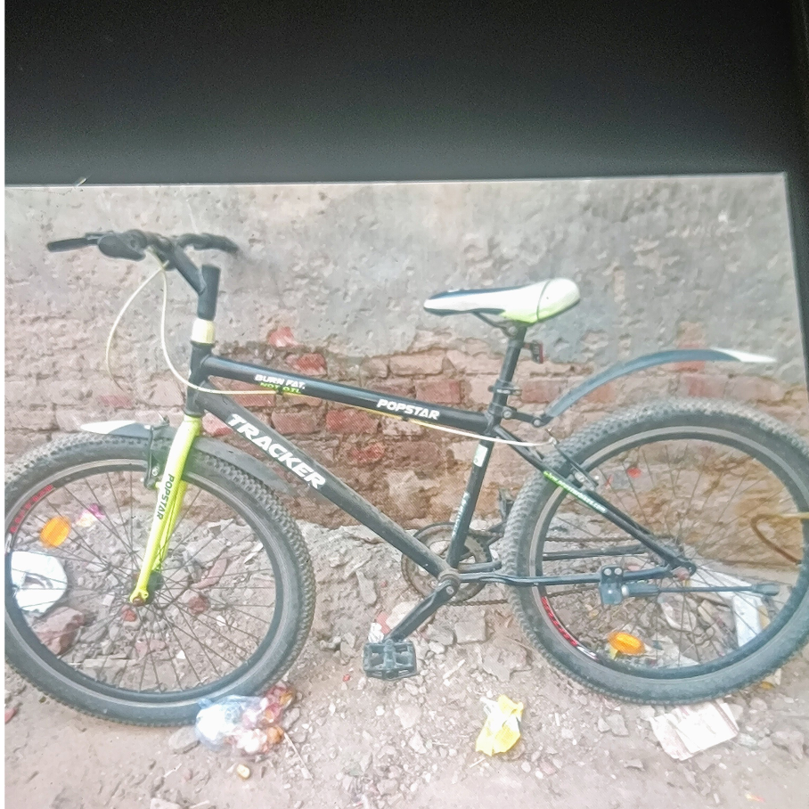 लाल बहादुर
