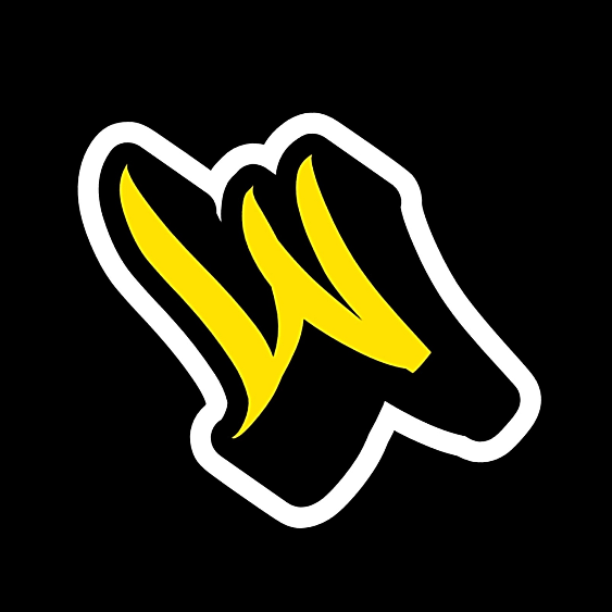 W4slleyzinYT