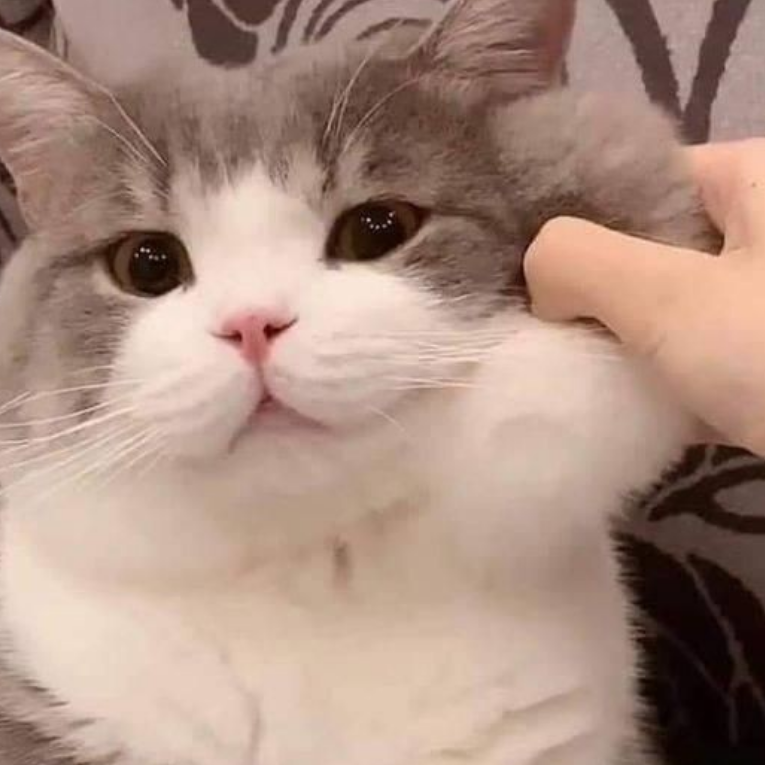 โหลดทุกเกมเลยมั้ยอะ