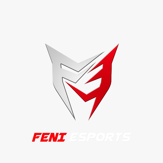 FENI E-SPORTS 