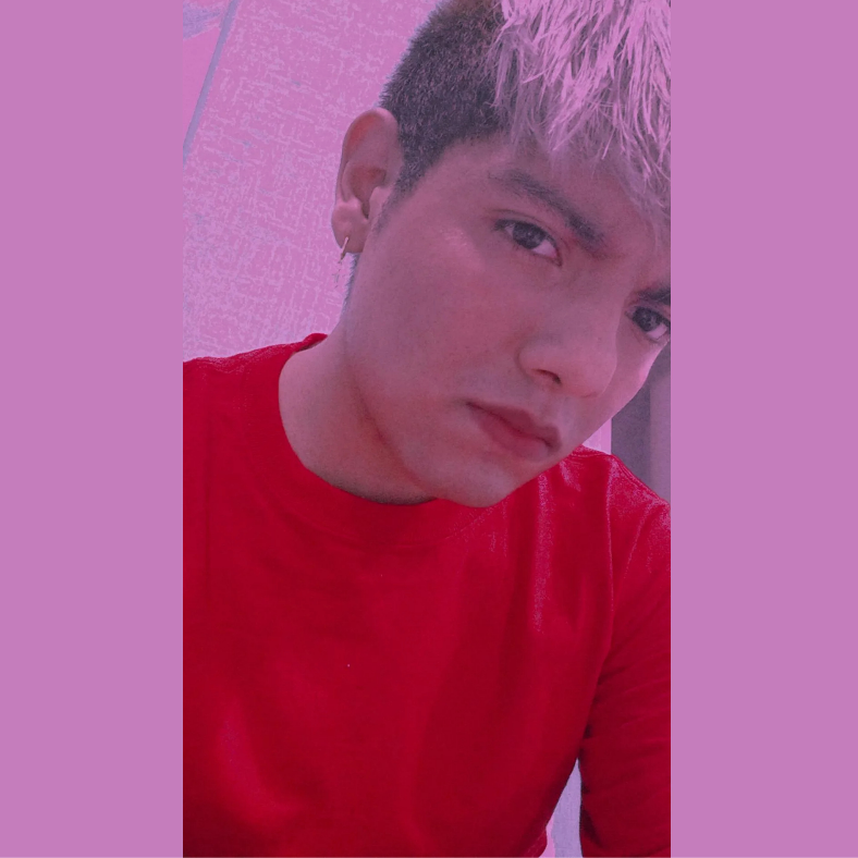 ㅤㅤㅤㅤㅤㅤㅤㅤㅤㅤㅤ