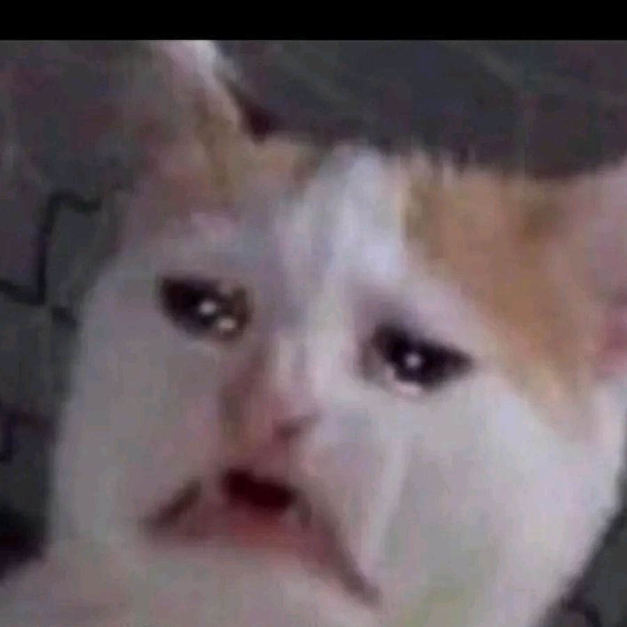 Himadri Shekhor Mondal 