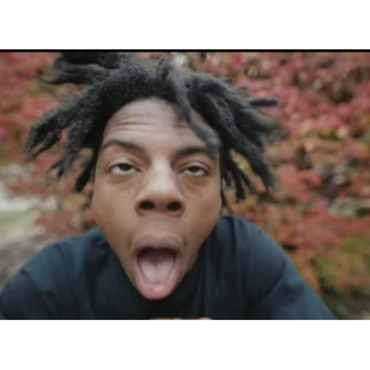 หมีพูห์