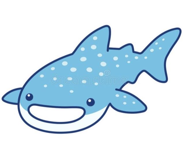 Whalesharkwizard