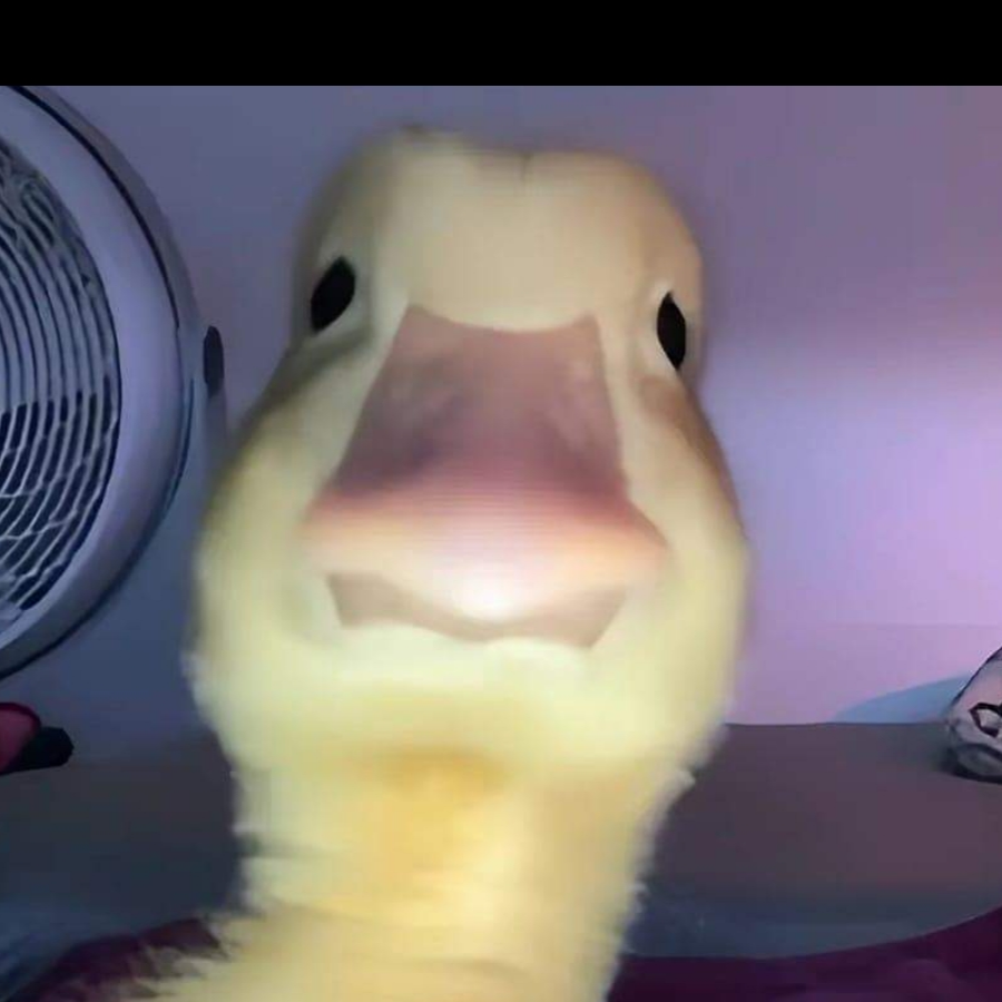 علي