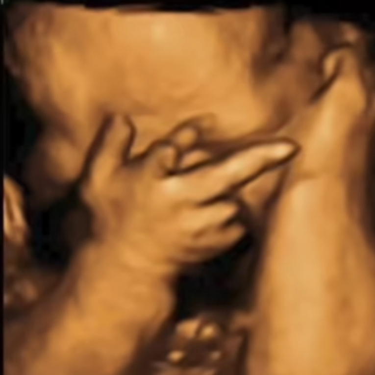 player のアイコン