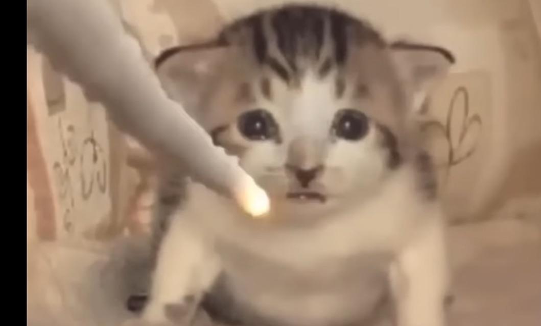 Yes