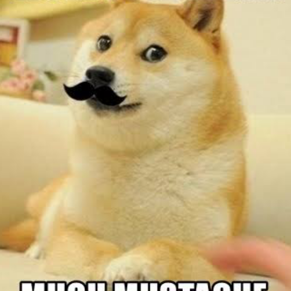 Just Some Doge With A Mustache