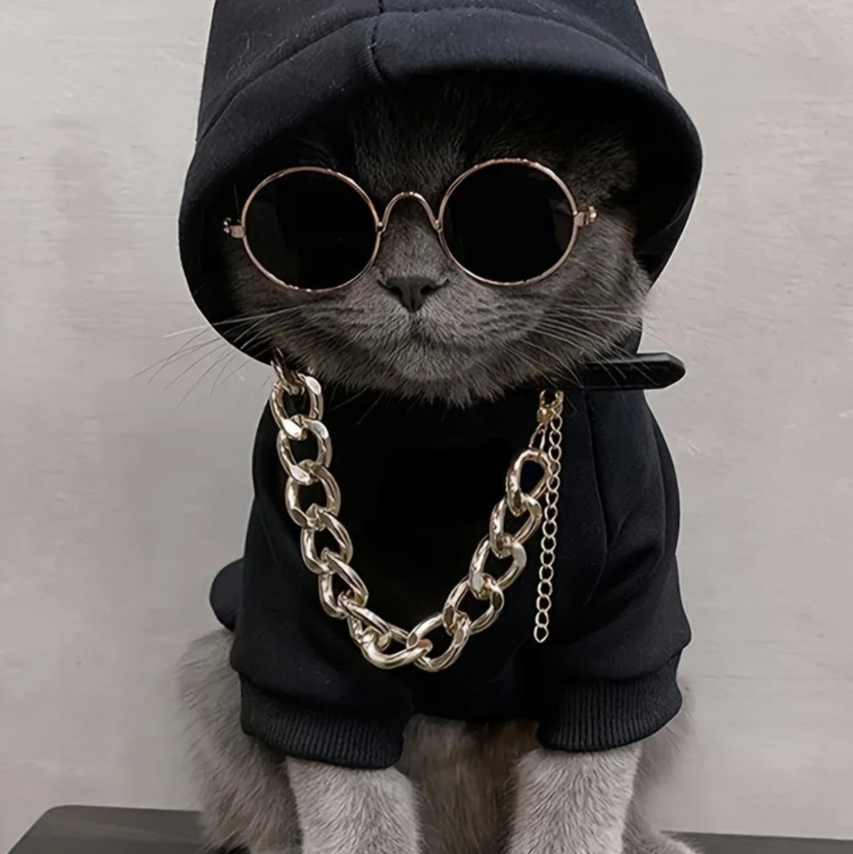 𝓤𝓼𝓪𝓰𝓲 ૮꒰ ˶• ༝ •˶꒱ა 