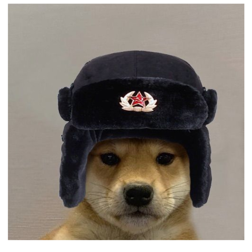 russian dog