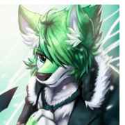 assassin wolf