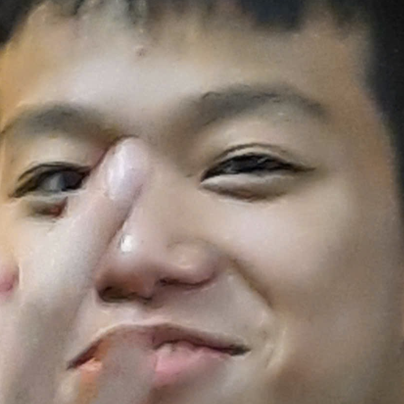 Hoàng tùng lâm Nguyễn