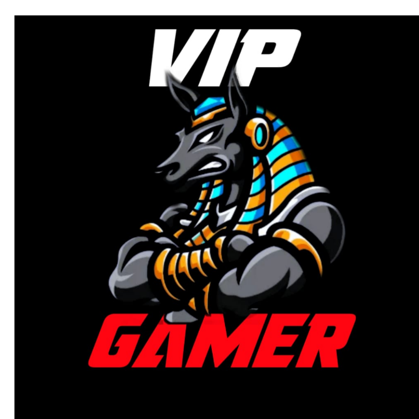 VIP GAMER