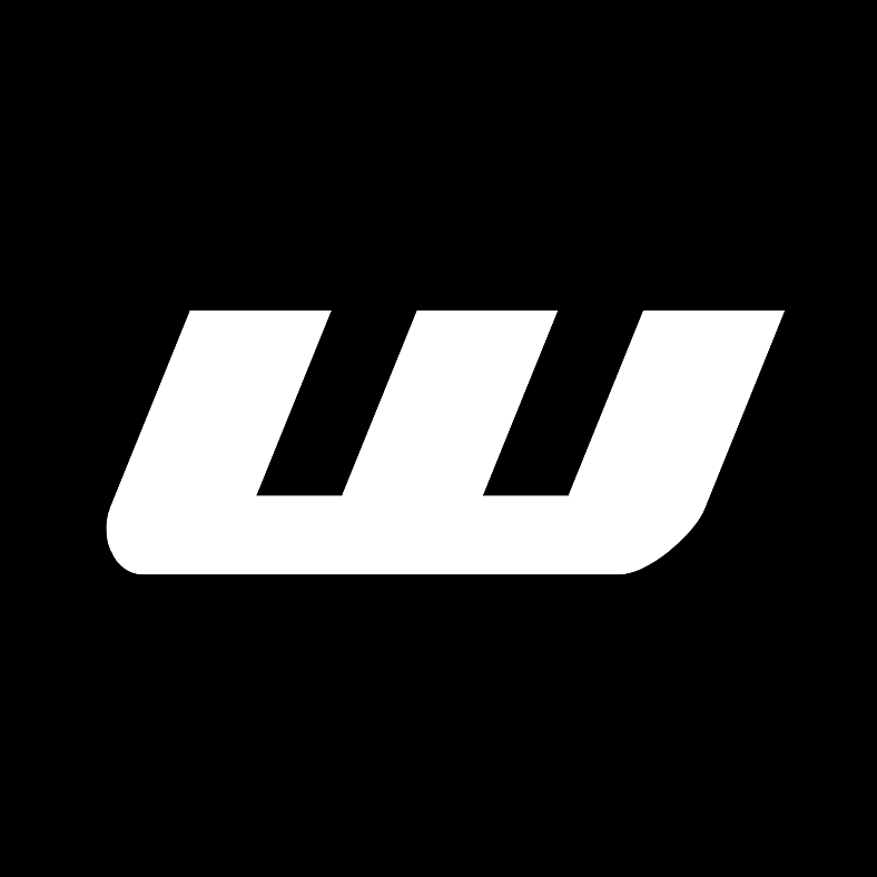 W4slleyzinYT