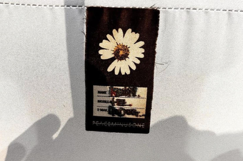 しゃちランキング