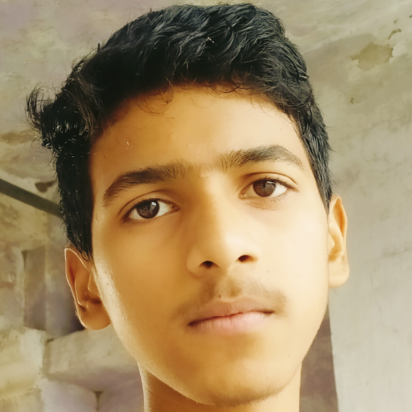 Ankit Kr