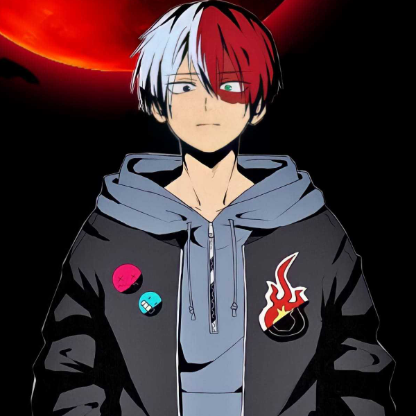 FAIZAN+TODOROKI