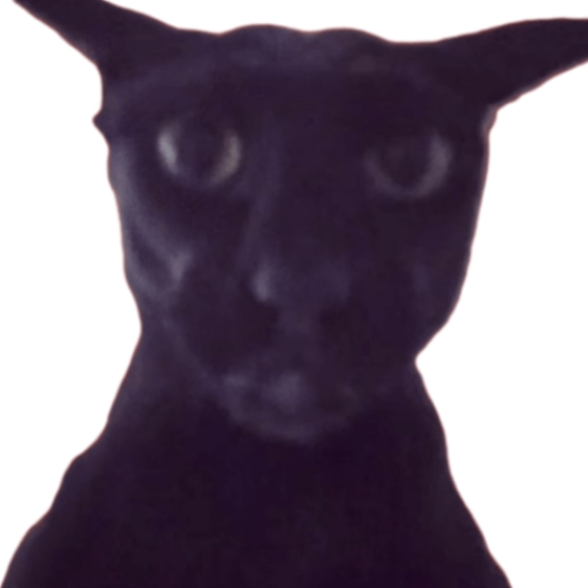 Sin