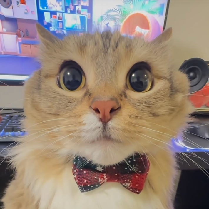 GusthvoGamer