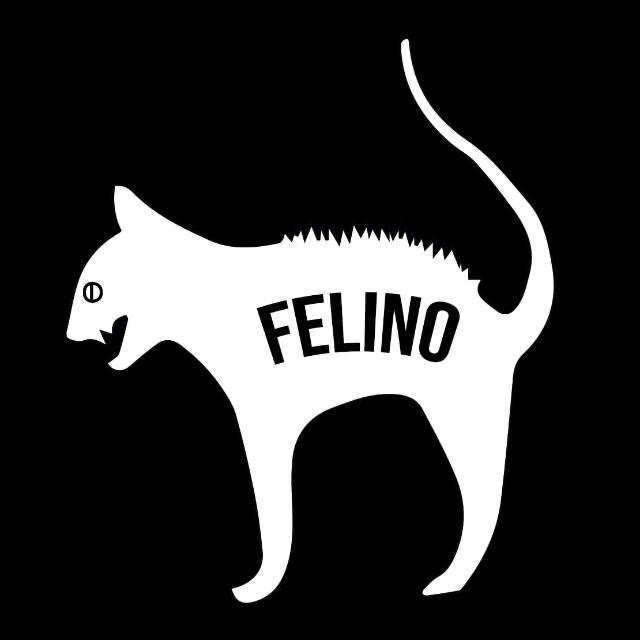 F E L I N O
