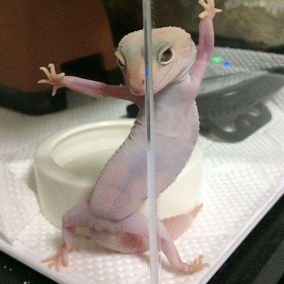 ขุนพรี่ก็เก่งเกิ๊นนนนนน.