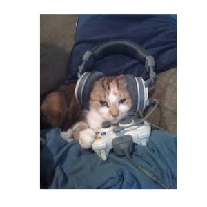 GAMER-CAT