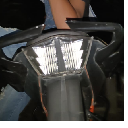 Vasava raistar Vasava