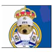 real madrid :D