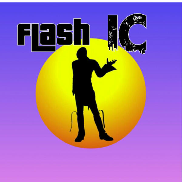 FLASH IC